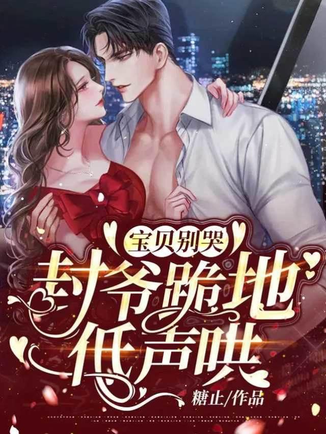 封爷跪地低声哄：宝贝别哭封面