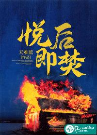 悦后即焚封面