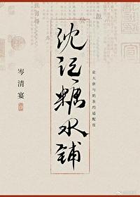 沈记糖水铺封面