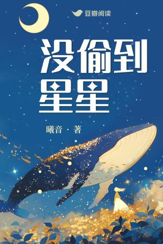 没偷到星星封面