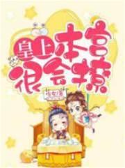 皇上，本宫很会撩封面