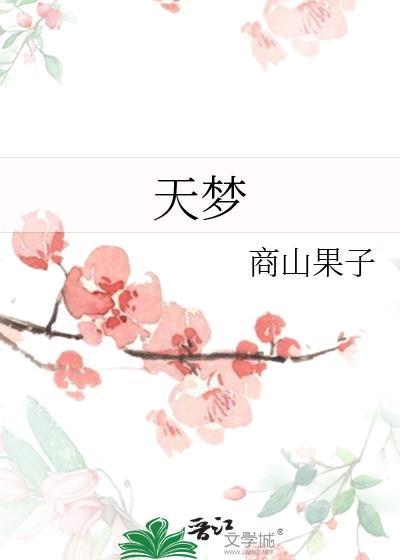 天梦封面