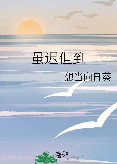 虽迟但到封面