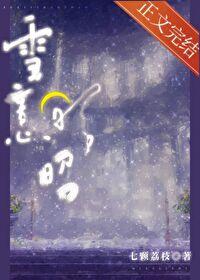 雪意昭昭封面