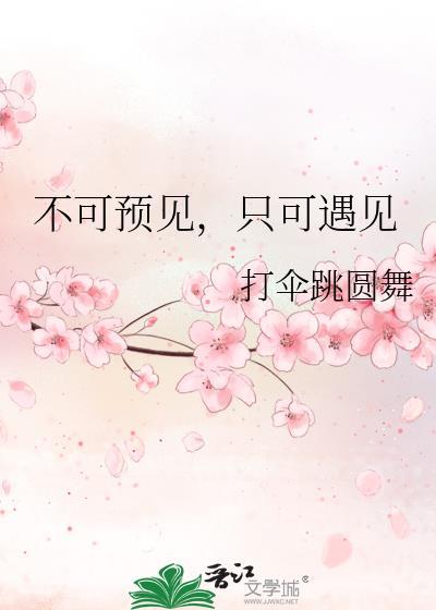 不可预见，只可遇见封面