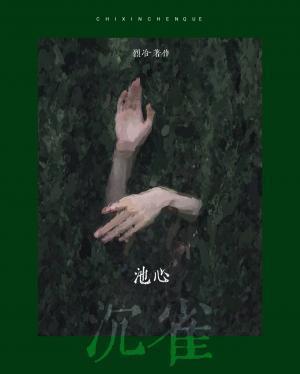 池心沈雀封面