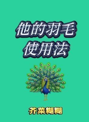 他的羽毛使用法封面