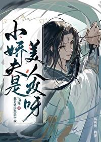 小娇夫是美人攻呀封面