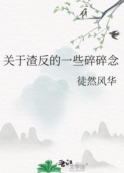 关于渣反的一些碎碎念封面