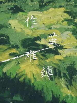 作茧难缚封面