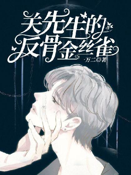 关先生的反骨金丝雀封面