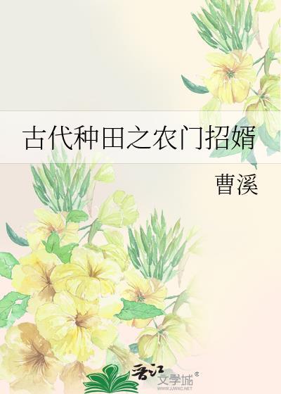 古代种田之农门招婿封面