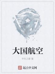 大国航空封面