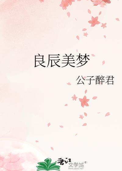 良辰美梦封面