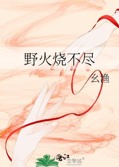 野火烧不尽封面