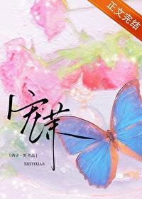 宠茉封面