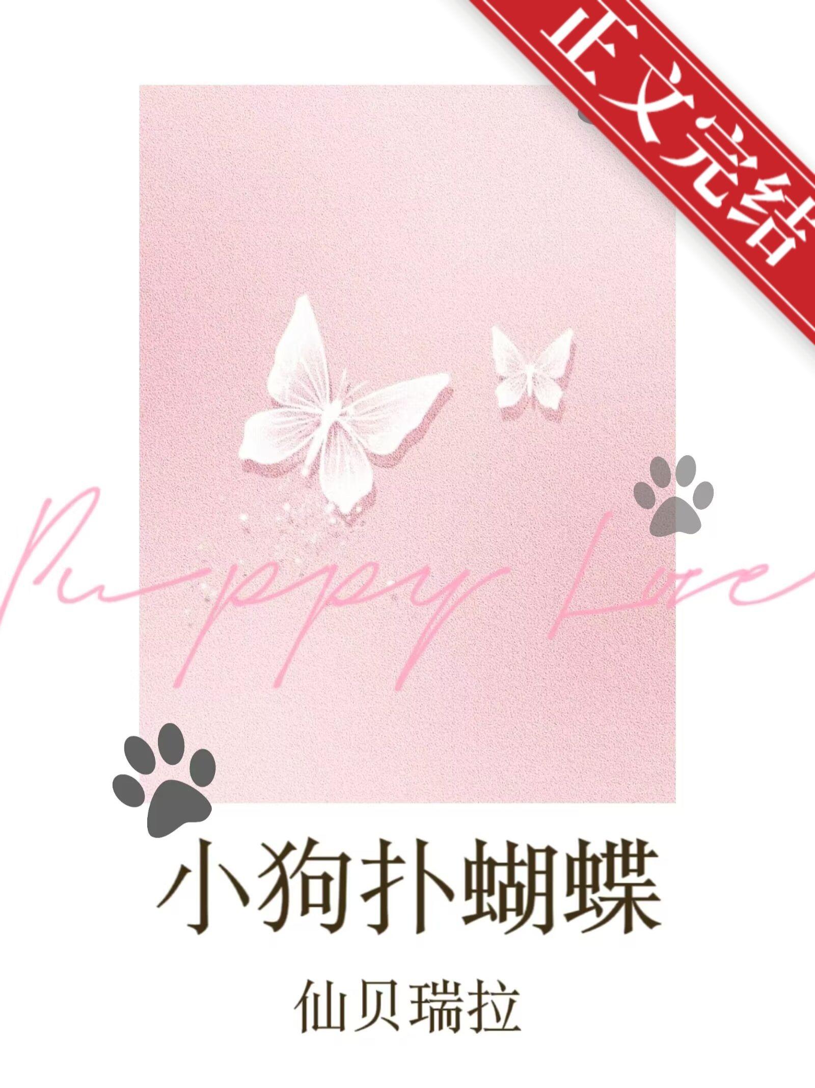 小狗扑蝴蝶封面