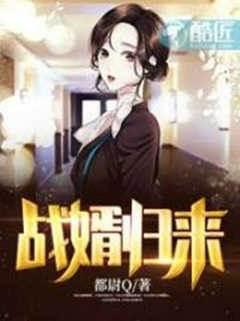 战婿归来封面