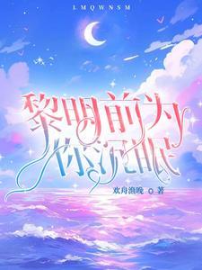 黎明前为你沈眠封面