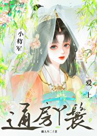 小将军爱上通房丫鬟封面
