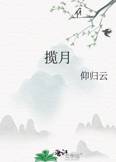 揽月封面