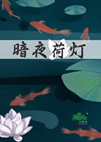 暗夜荷灯封面
