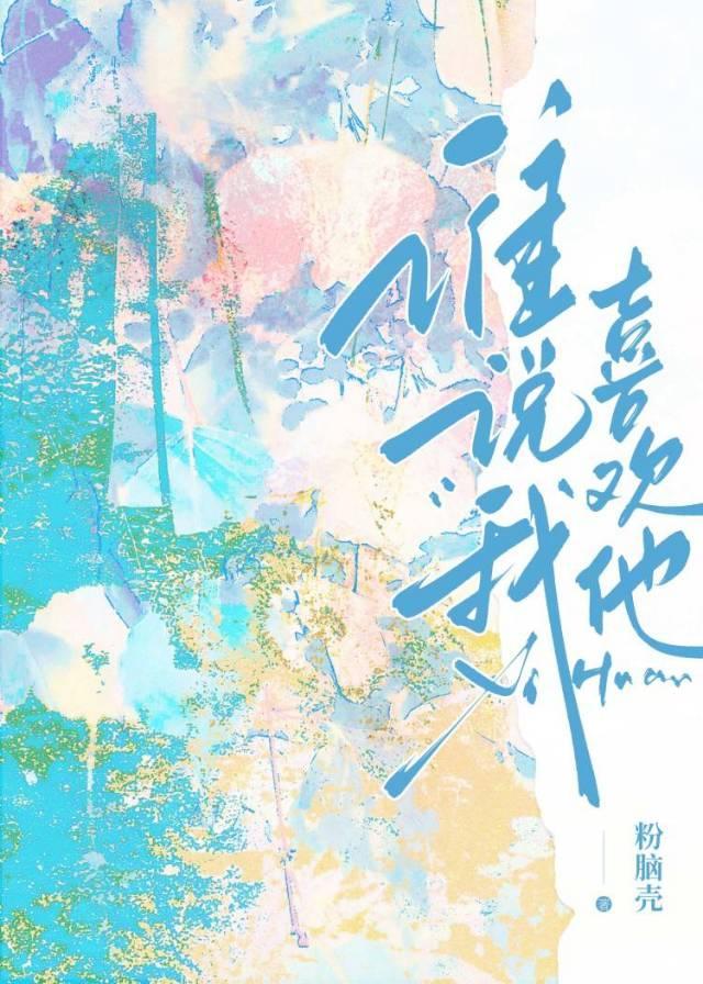 谁说我喜欢他封面
