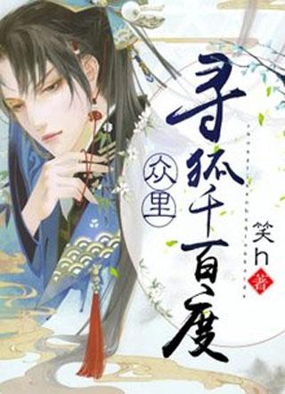 众裏寻狐千百度封面