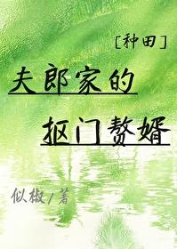夫郎家的抠门赘婿[种田]封面