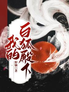 我的白狐殿下封面