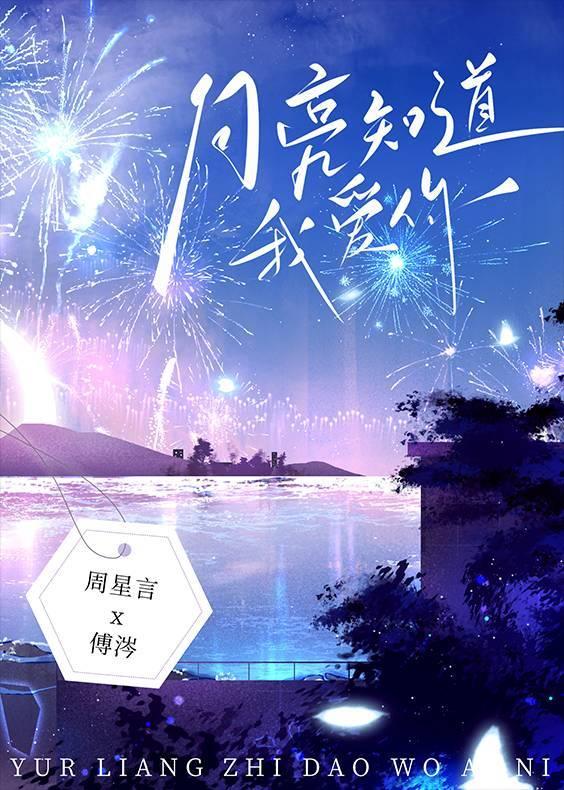 月亮知道我爱你[暗恋]封面