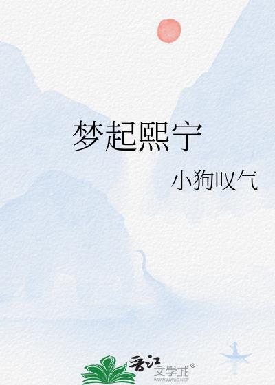 梦起熙宁封面