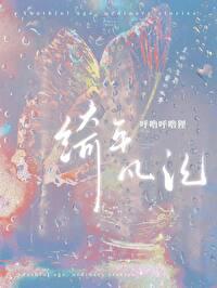 绮年凡记封面