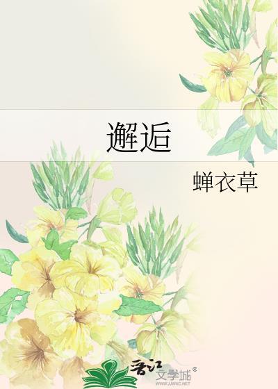 邂逅封面