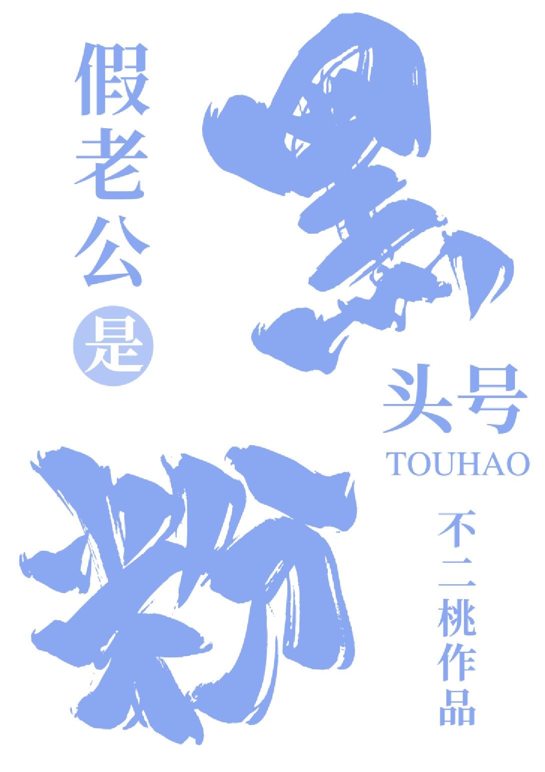 假老公是头号黑粉封面