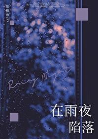 在雨夜陷落封面