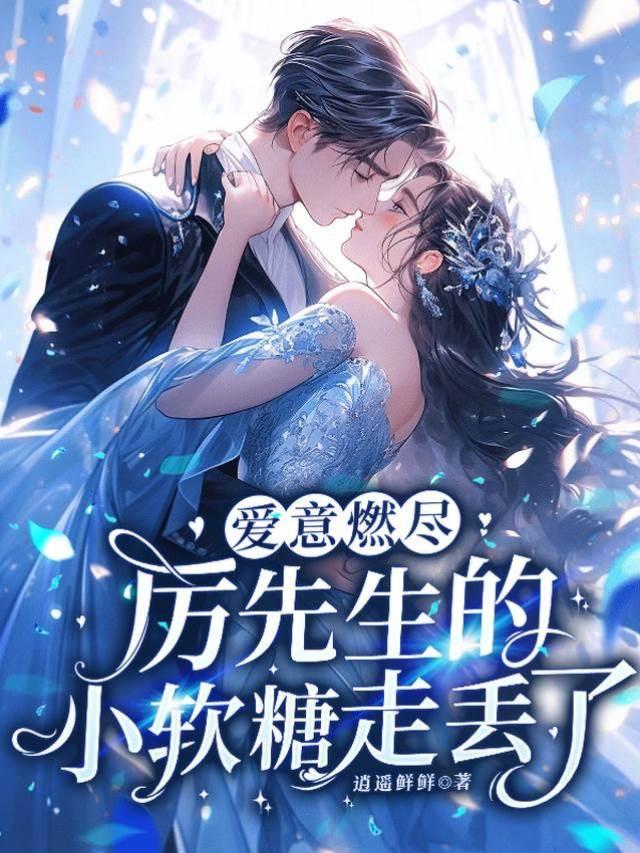 爱意燃尽：厉先生的小软糖走丢了封面