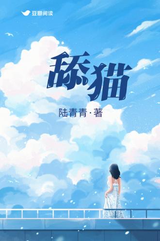 舔猫封面