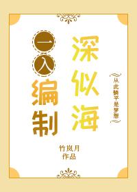 一入编制深似海封面