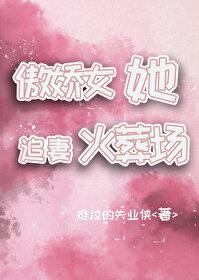 傲娇女她追妻火葬场封面