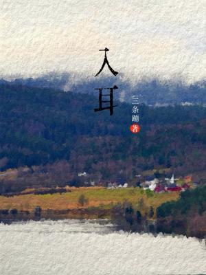 入耳封面