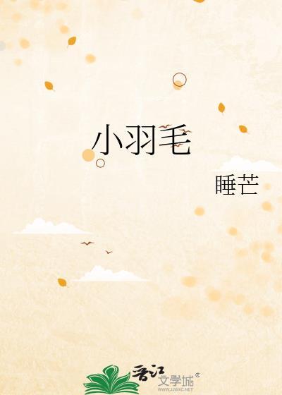 小羽毛封面