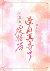 绝对心动封面