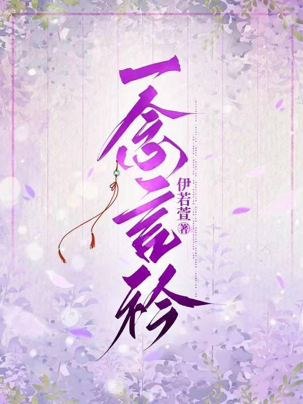 一念言衿封面