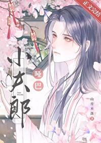 哑巴小夫郎封面