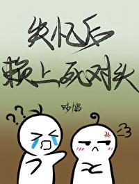 失忆后赖上死对头封面