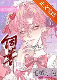 毛绒小兔饲养指南封面