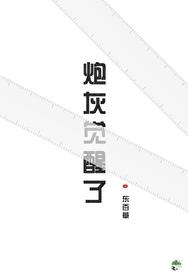 炮灰觉醒了封面