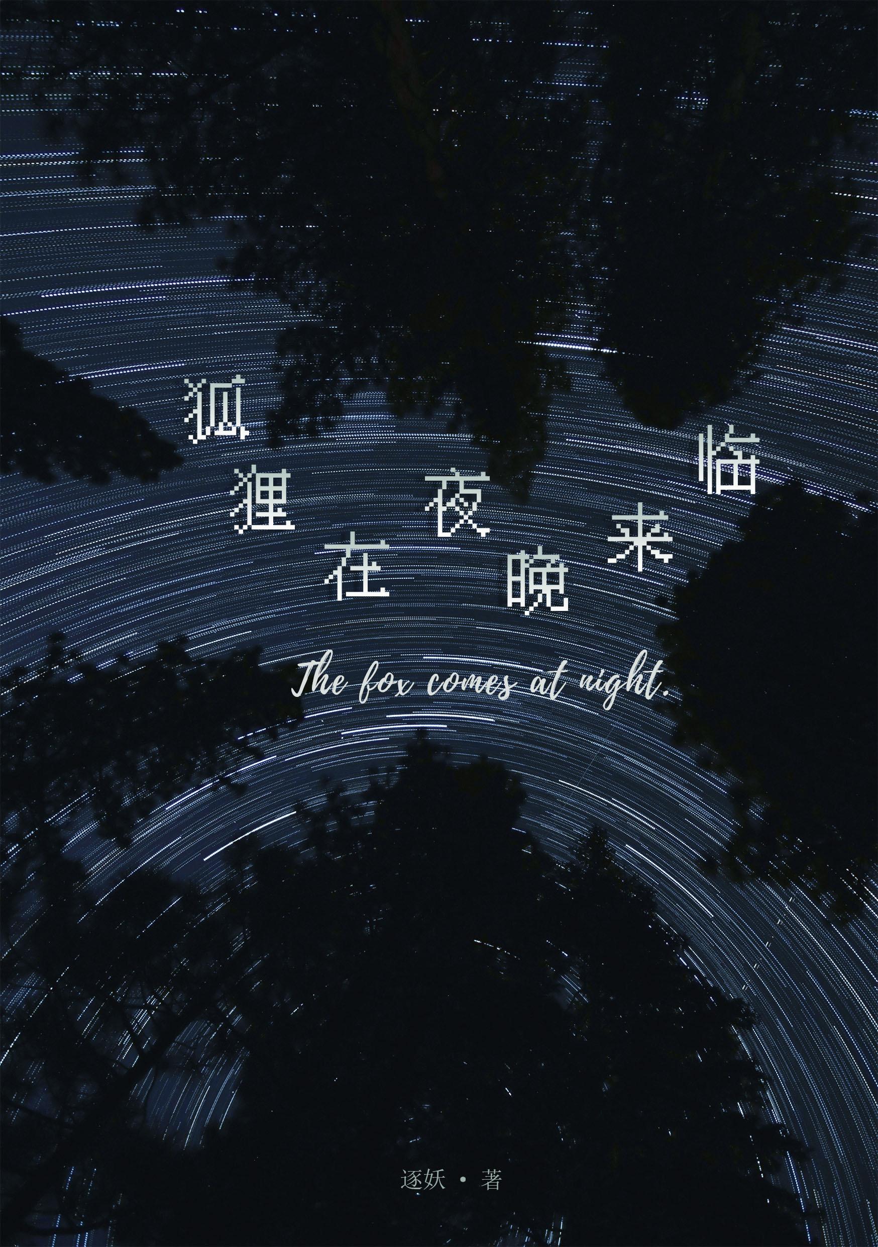 狐貍在夜晚来临封面