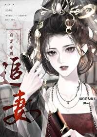 追妻守则封面